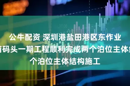 公牛配资 深圳港盐田港区东作业区集装箱码头一期工程顺利完成两个泊位主体结构施工