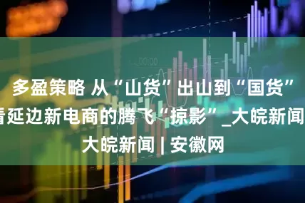 多盈策略 从“山货”出山到“国货”出海，看延边新电商的腾飞“掠影”_大皖新闻 | 安徽网