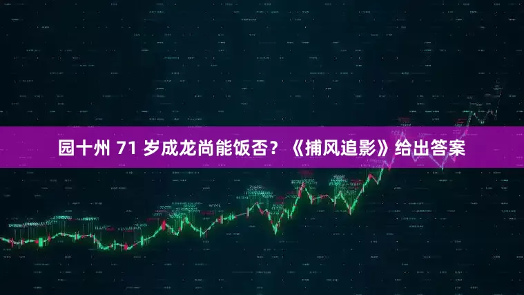 园十州 71 岁成龙尚能饭否？《捕风追影》给出答案