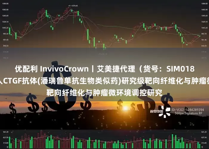 优配利 InvivoCrown丨艾美捷代理(货号:SIM0189)BioSIM抗人CTGF抗体(潘瑞鲁单抗生物类似药)研究级靶向纤维化与肿瘤微环境调控研究