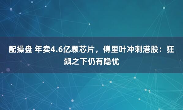 配操盘 年卖4.6亿颗芯片，傅里叶冲刺港股：狂飙之下仍有隐忧